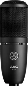 AKG P120 Micrphone
