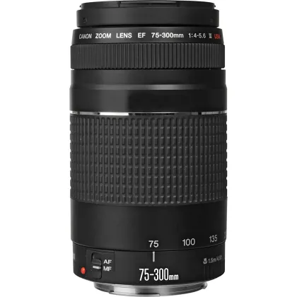 Canon EOS Rebel SL2 DSLR Camera (EF-S 18-55mm + 75-300mm Lens) - image 4