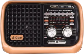 iGear Vintage Vibes iG-1112 8 W MP3 Player - image 1