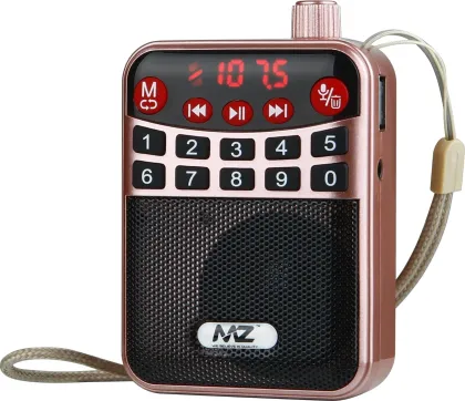 MZ M63VP 3W FM Radio - image 2