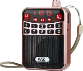MZ M63VP 3W FM Radio