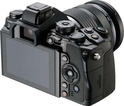 Olympus OM-D E-M1 with M.Zuiko Digital 12 - 40 mm f2.8 - PRO Mirrorless Camera - image 5