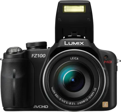 Panasonic Lumix DMC-FZ100 Digital Camera - image 3