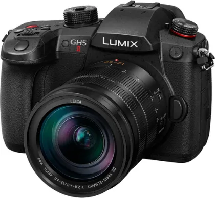 Panasonic Lumix GH5 II Mirrorless Camera (Leica Vario- Elmarit 12-60mm F2.8-4.0 Lens) - image 5