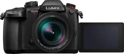 Panasonic Lumix GH5 II Mirrorless Camera (Leica Vario- Elmarit 12-60mm F2.8-4.0 Lens) - image 4