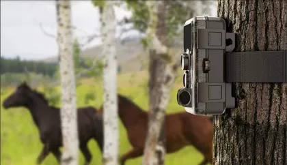 SJCAM M50 Hunting Trail Camera - image 4