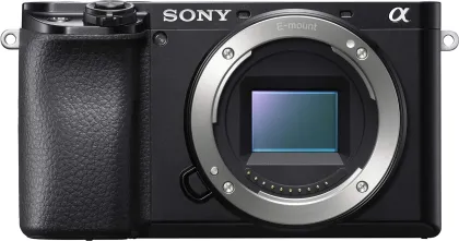 Sony a6100 24.2 MP Mirrorless Digital Camera with Sony E 70-350mm F/4.5-6.3 G OSS Lens - image 3
