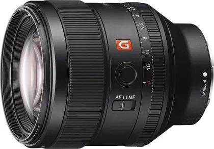 Sony Alpha ILCE-6400 24.2 MP Mirrorless Camera (E 16-50mm F/3.5-5.6 OSS Lens & E 85mm F/1.4 G Master Lens) - image 4